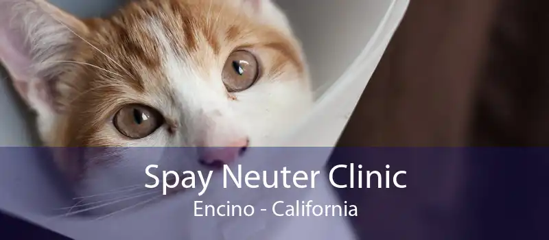 Spay Neuter Clinic Encino - California