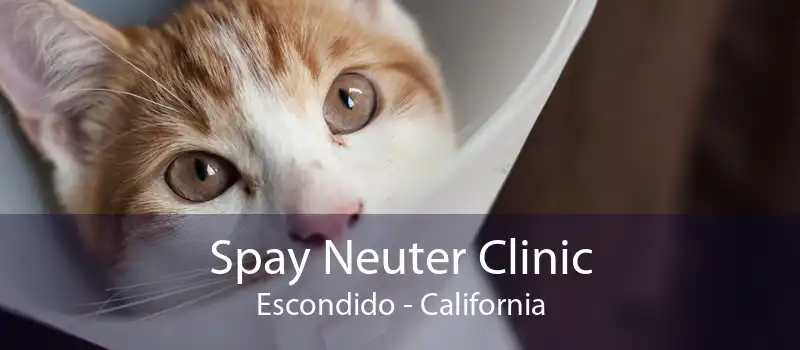 Spay Neuter Clinic Escondido - California