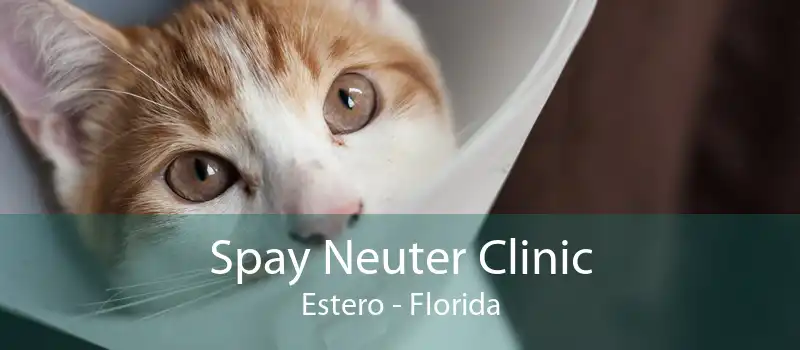 Spay Neuter Clinic Estero - Florida