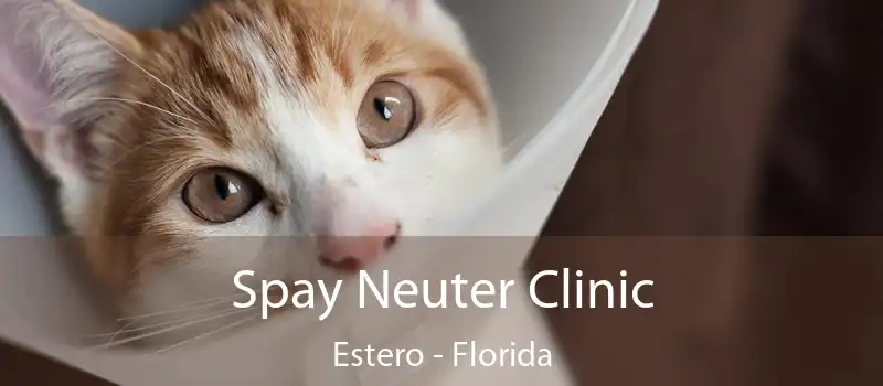 Spay Neuter Clinic Estero - Florida