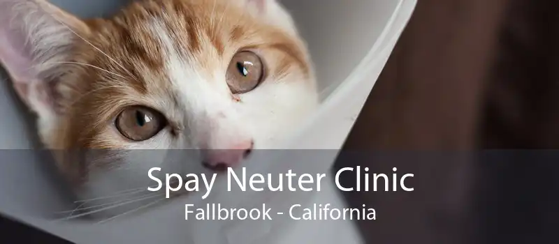 Spay Neuter Clinic Fallbrook - California