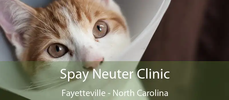 Spay Neuter Clinic Fayetteville - North Carolina