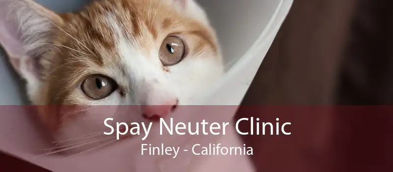 Spay Neuter Clinic Finley - California