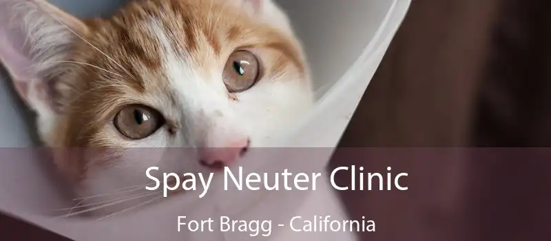 Spay Neuter Clinic Fort Bragg - California