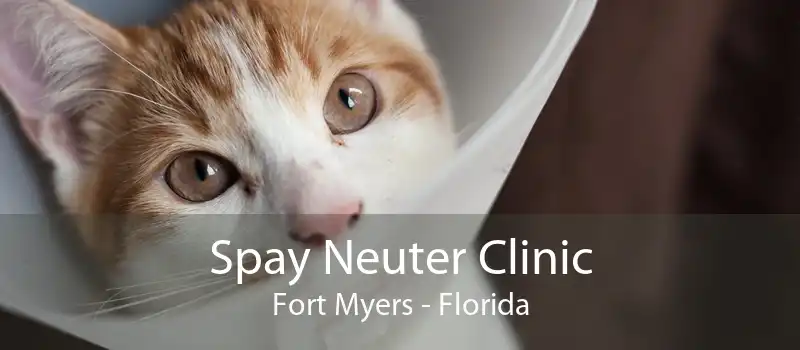 Spay Neuter Clinic Fort Myers - Florida