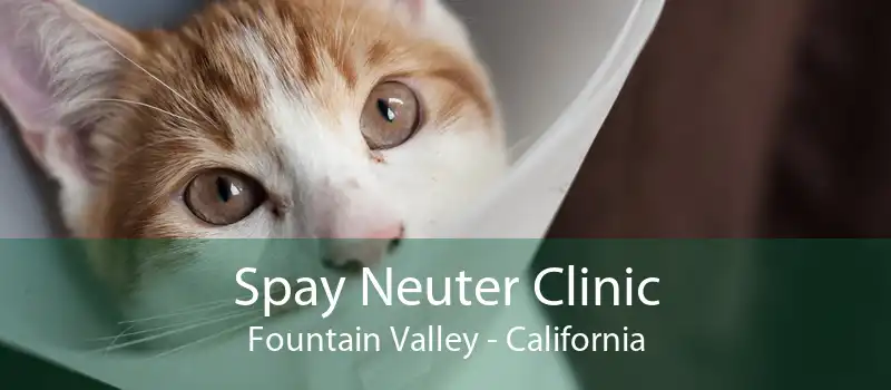 Spay Neuter Clinic Fountain Valley - California