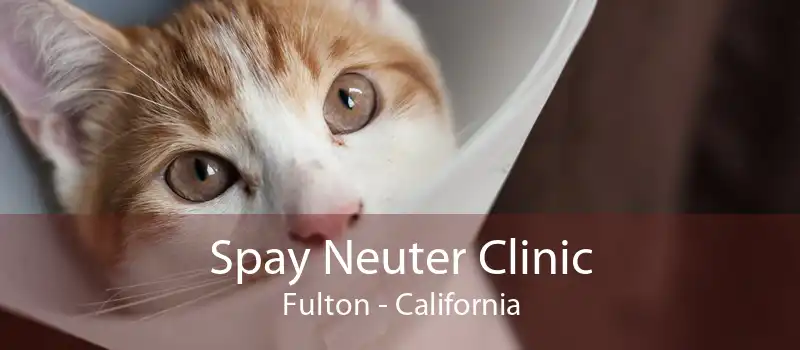 Spay Neuter Clinic Fulton - California