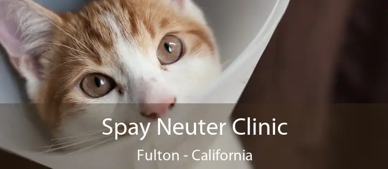 Spay Neuter Clinic Fulton - California