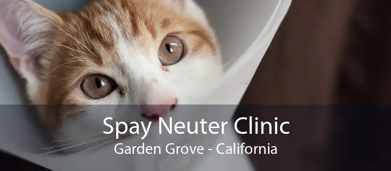 Spay Neuter Clinic Garden Grove - California