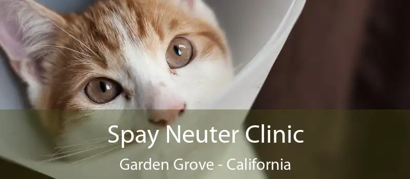 Spay Neuter Clinic Garden Grove - California