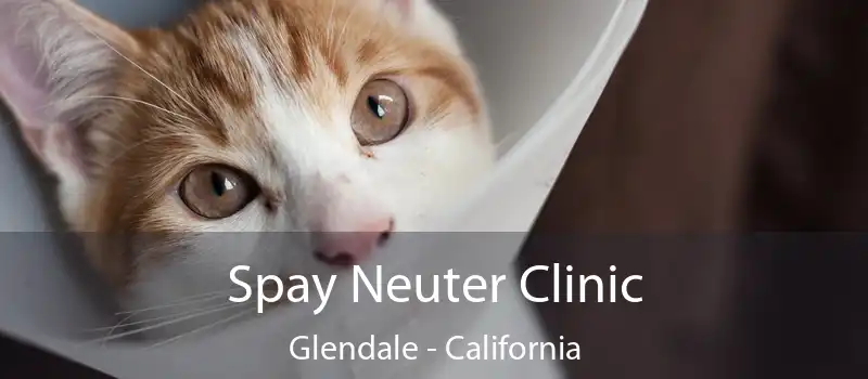 Spay Neuter Clinic Glendale - California