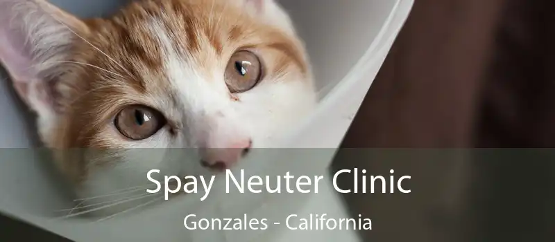 Spay Neuter Clinic Gonzales - California