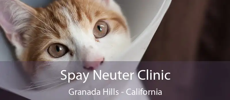 Spay Neuter Clinic Granada Hills - California