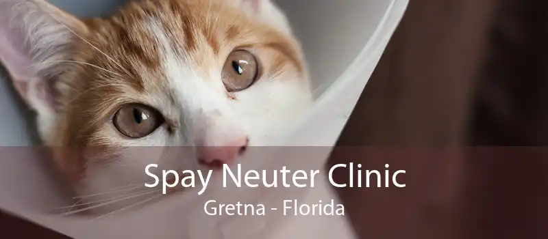 Spay Neuter Clinic Gretna - Florida