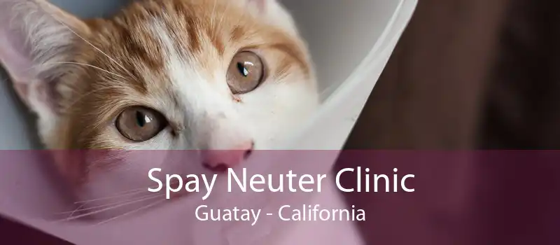 Spay Neuter Clinic Guatay - California