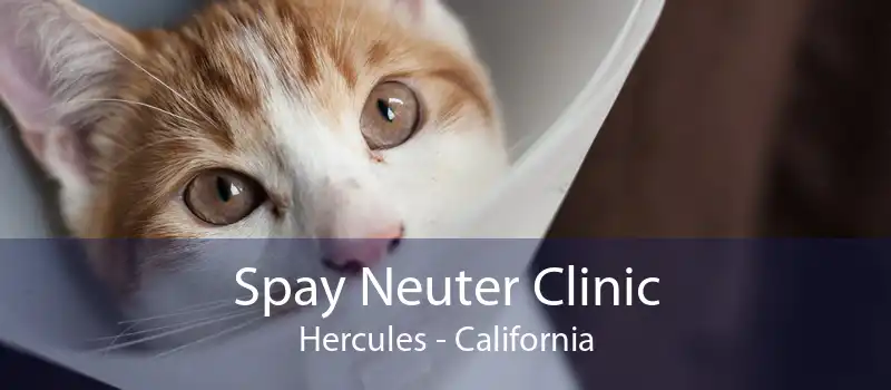 Spay Neuter Clinic Hercules - California
