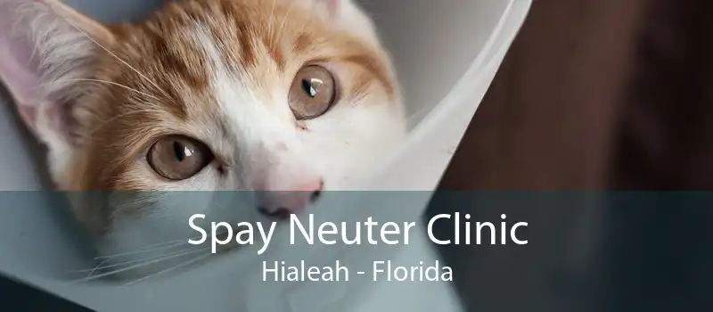 Spay Neuter Clinic Hialeah - Florida