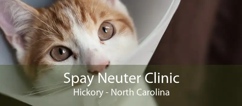 Spay Neuter Clinic Hickory - North Carolina