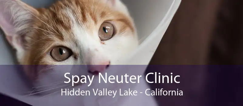 Spay Neuter Clinic Hidden Valley Lake - California