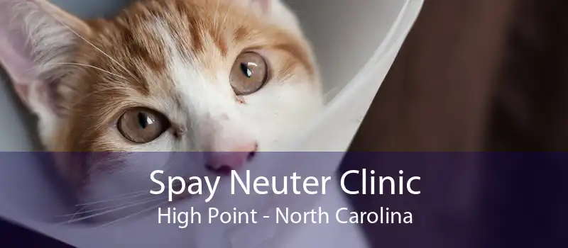 Spay Neuter Clinic High Point - North Carolina