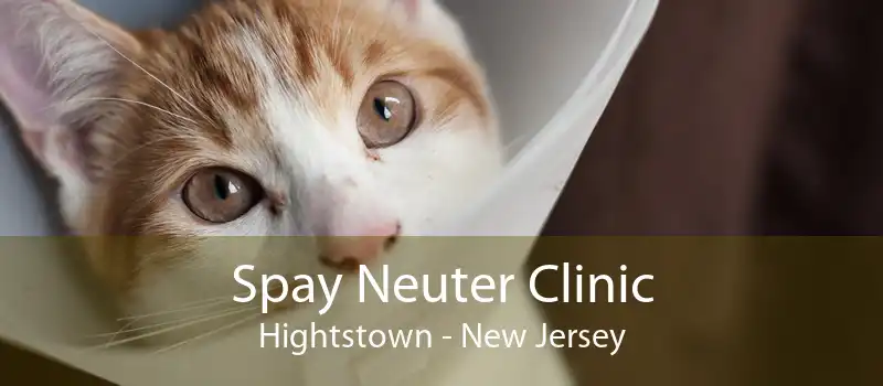 Spay Neuter Clinic Hightstown - New Jersey