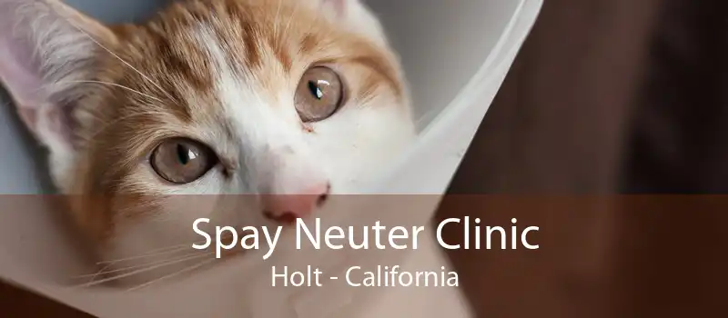 Spay Neuter Clinic Holt - California