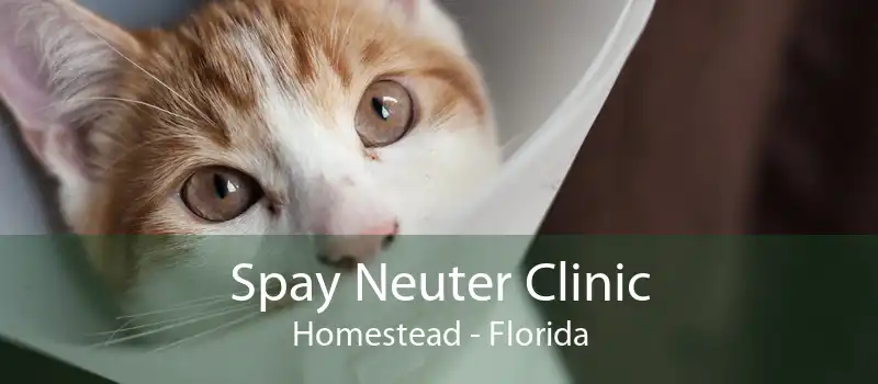 Spay Neuter Clinic Homestead - Florida