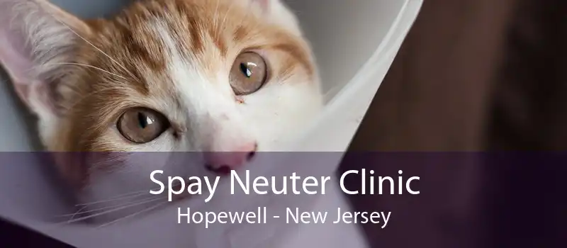 Spay Neuter Clinic Hopewell - New Jersey
