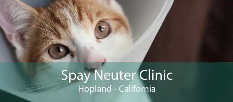 Spay Neuter Clinic Hopland - California