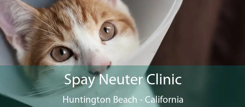 Spay Neuter Clinic Huntington Beach - California