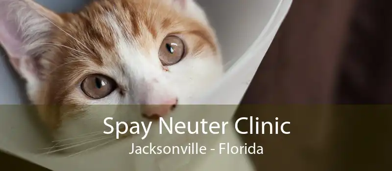 Spay Neuter Clinic Jacksonville - Florida