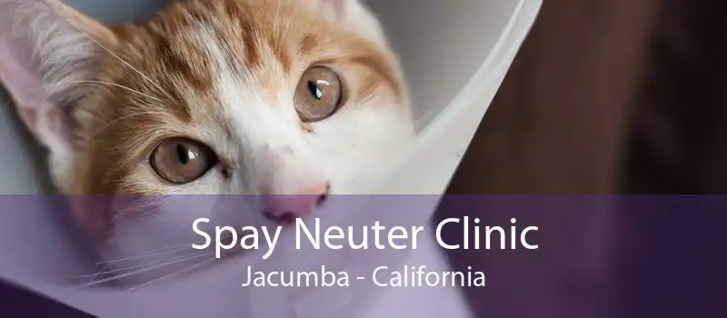 Spay Neuter Clinic Jacumba - California