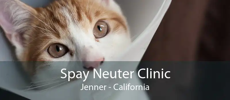 Spay Neuter Clinic Jenner - California