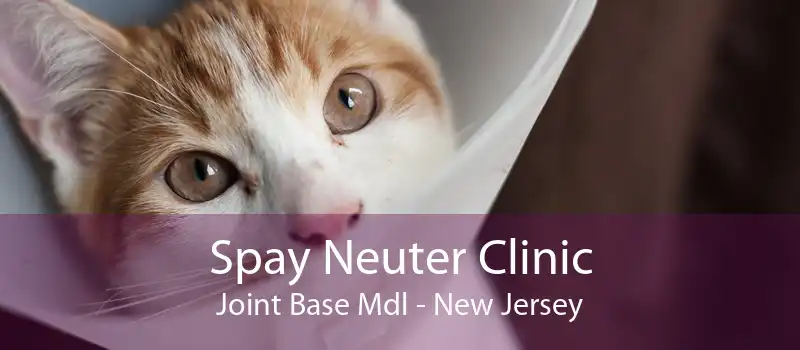 Spay Neuter Clinic Joint Base Mdl - New Jersey