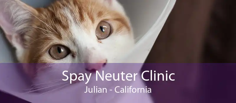 Spay Neuter Clinic Julian - California