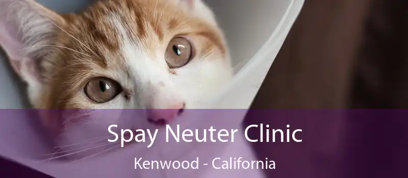 Spay Neuter Clinic Kenwood - California