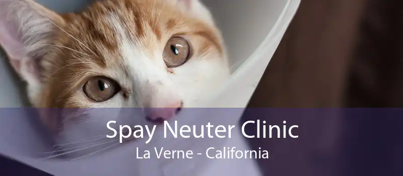 Spay Neuter Clinic La Verne - California