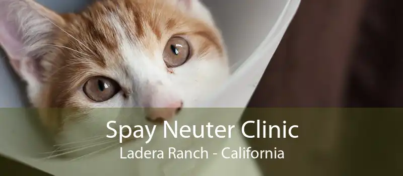 Spay Neuter Clinic Ladera Ranch - California