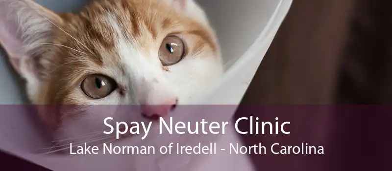 Spay Neuter Clinic Lake Norman of Iredell - North Carolina