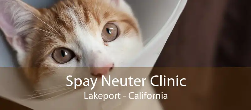 Spay Neuter Clinic Lakeport - California