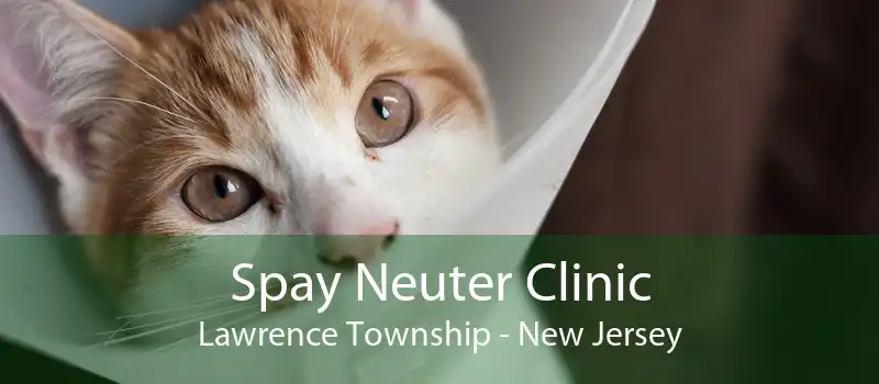 Spay Neuter Clinic Lawrence Township - New Jersey