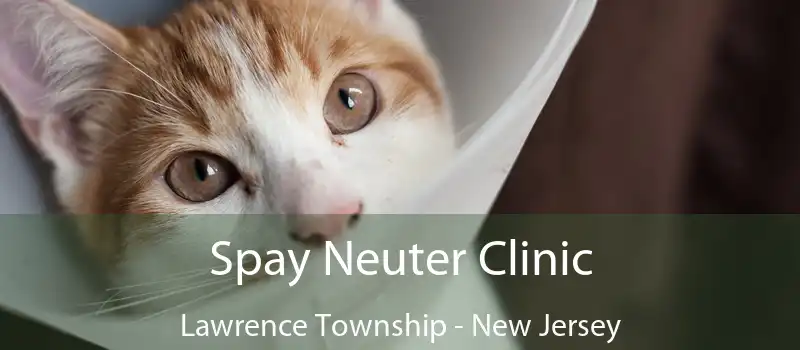 Spay Neuter Clinic Lawrence Township - New Jersey