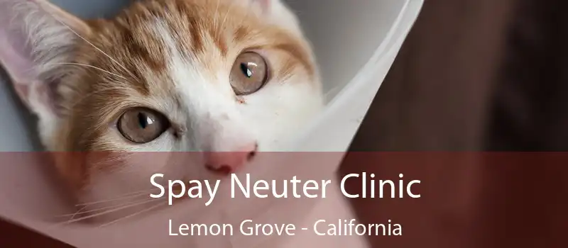 Spay Neuter Clinic Lemon Grove - California