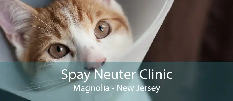Spay Neuter Clinic Magnolia - New Jersey