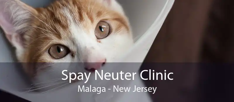 Spay Neuter Clinic Malaga - New Jersey