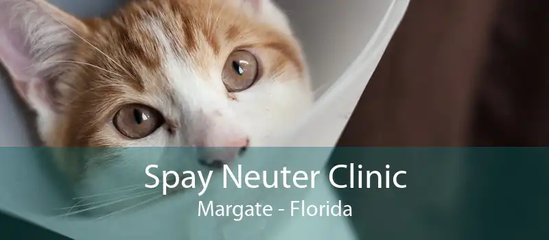 Spay Neuter Clinic Margate - Florida