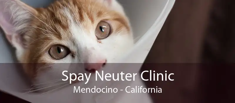 Spay Neuter Clinic Mendocino - California