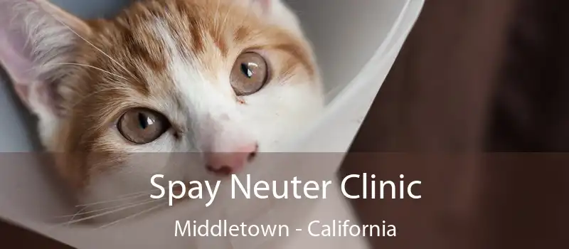 Spay Neuter Clinic Middletown - California