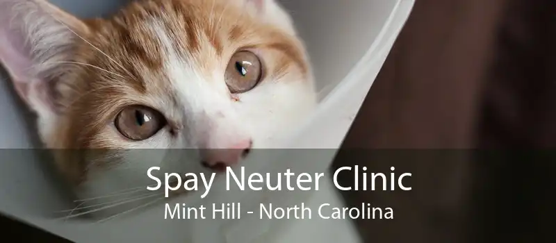 Spay Neuter Clinic Mint Hill - North Carolina
