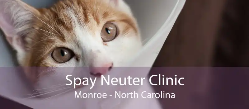 Spay Neuter Clinic Monroe - North Carolina